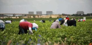 César Chávez Day to be Renamed Farmworker Day under Proposal