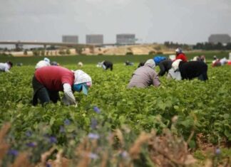 César Chávez Day to be Renamed Farmworker Day under Proposal
