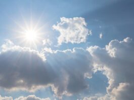 It’s Going to Be Hot This Week, Here Are Tips to Stay Safe