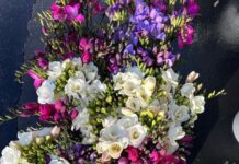 Spring Is Blooming at State Street Farmers Market