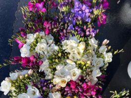 Spring Is Blooming at State Street Farmers Market