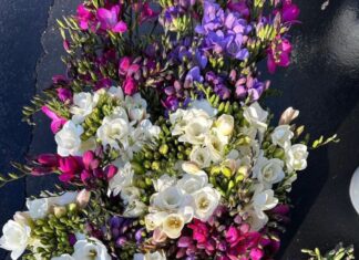Spring Is Blooming at State Street Farmers Market