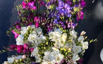 Spring Is Blooming at State Street Farmers Market