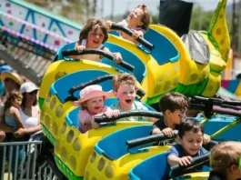 15th Annual Vista Strawberry Festival Info