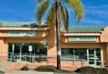 Kindred Spirits Canine Education Center Provides Top Notch Training Experiences for Dogs