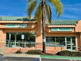 Kindred Spirits Canine Education Center Provides Top Notch Training Experiences for Dogs
