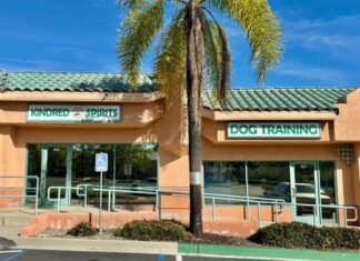 Kindred Spirits Canine Education Center Provides Top Notch Training Experiences for Dogs