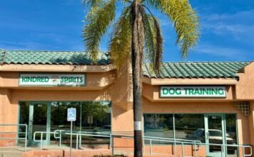 Kindred Spirits Canine Education Center Provides Top Notch Training Experiences for Dogs