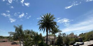 California Rooftop Solar Has Changed—And So Must the Way We Think About It