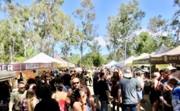 11th Annual Meading at the Garden Brings Hundreds to Alta Vista Botanical Gardens