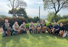 Care Continues for Dogs Rescued from Bonsall Property