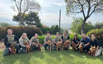 Care Continues for Dogs Rescued from Bonsall Property
