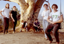 AVO UNPLUGGED “Dutch Interior”