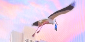 Optimism Shared Regarding Tri-City Medical Center and Sharp HealthCare Partnership