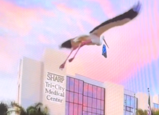 Optimism Shared Regarding Tri-City Medical Center and Sharp HealthCare Partnership