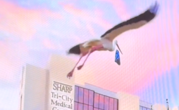 Optimism Shared Regarding Tri-City Medical Center and Sharp HealthCare Partnership