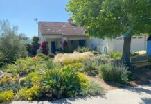 Vista Irrigation District Landscape Contest