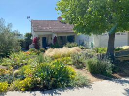Vista Irrigation District Landscape Contest