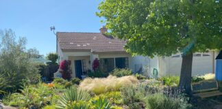 Vista Irrigation District Landscape Contest