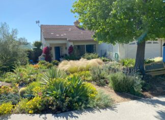 Vista Irrigation District Landscape Contest