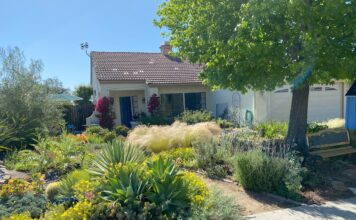 Vista Irrigation District Landscape Contest