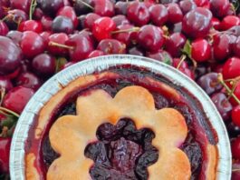 Cherry Season Has Arrived at the Market