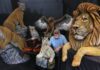 Vista Woodcarver Produces Amazing Realistic Life-Sized Animal Sculptures