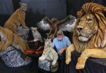 Vista Woodcarver Produces Amazing Realistic Life-Sized Animal Sculptures