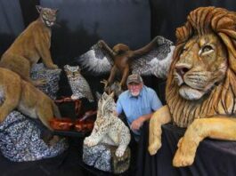 Vista Woodcarver Produces Amazing Realistic Life-Sized Animal Sculptures