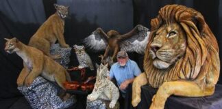 Vista Woodcarver Produces Amazing Realistic Life-Sized Animal Sculptures