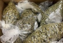 Narcotics Arrest – Vista Two arrested after search warrant.