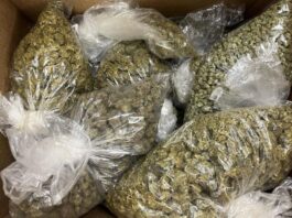 Narcotics Arrest – Vista Two arrested after search warrant.