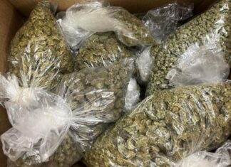 Narcotics Arrest – Vista Two arrested after search warrant.
