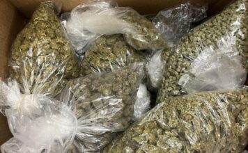 Narcotics Arrest – Vista Two arrested after search warrant.