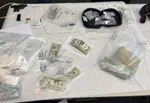 Search Warrant/Narcotics Sales Arrest – Vista