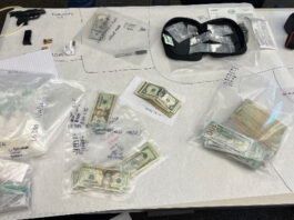 Search Warrant/Narcotics Sales Arrest – Vista