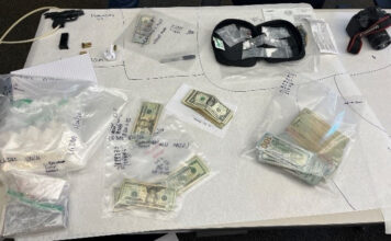 Search Warrant/Narcotics Sales Arrest – Vista