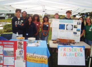 Vista Students Bound for Costa Rica as Part of the Global Sustainability Project