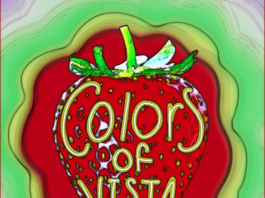 City of Vista and Public Arts Commission Invite Community to the Colors of Vista Artists Reception