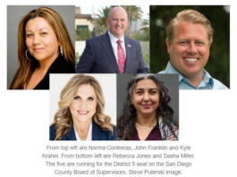 D5 supervisor candidates enter final stretch before primary
