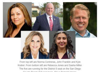 D5 supervisor candidates enter final stretch before primary
