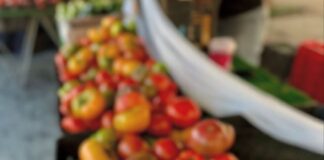 Memorial Day Weekend Starts at the Market