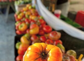 Memorial Day Weekend Starts at the Market