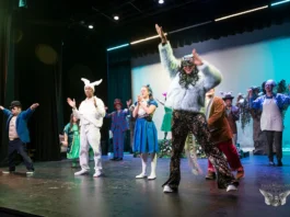 Chamber Chat: The Bornemann Theatre is impacting TERI and the region