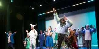 Chamber Chat: The Bornemann Theatre is impacting TERI and the region