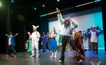 Chamber Chat: The Bornemann Theatre is impacting TERI and the region