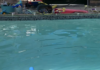 Why Swimming Should Be Every Child’s Very First Sport