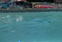 Why Swimming Should Be Every Child’s Very First Sport