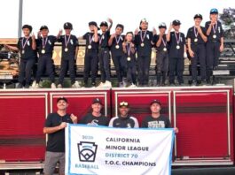 Vista Little League Baseball AAA White Sox Team Has Dominant Season