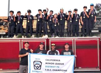 Vista Little League Baseball AAA White Sox Team Has Dominant Season